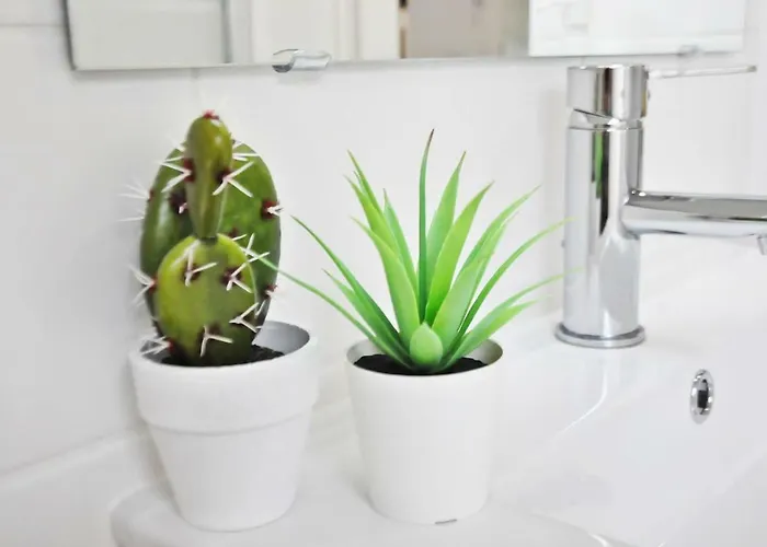 Apartamento Loft Acolhedor Em Perto Do Santuário